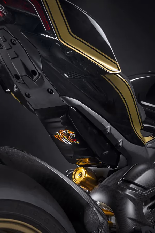 Foto 009 Ducati Streetfighter V4S 100